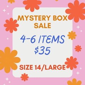 Mystery Box Sale - Size 14/Large